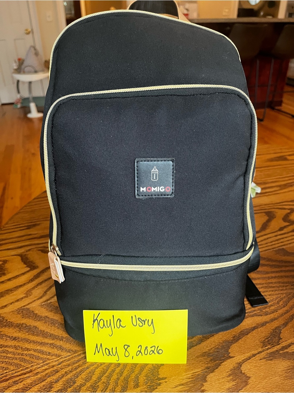 Backpack & Ice Packs for Breast Pump
